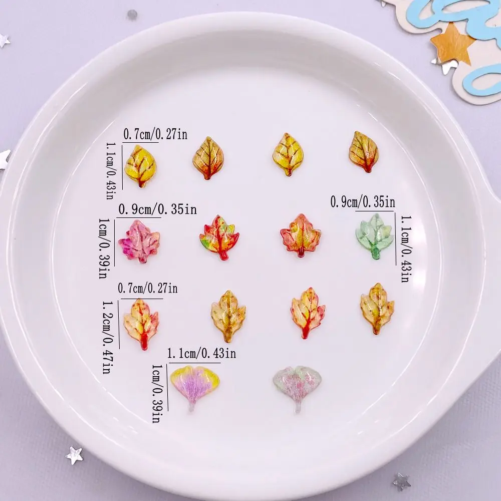 50pcs ผสมเรซิ่นมินิคริสตัล Map - Paradise Jewelry & Watches Llc บทวิจารณ์และราคา